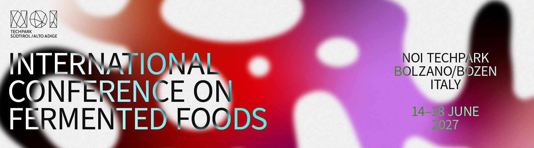 2° International Conference on Fermented Food